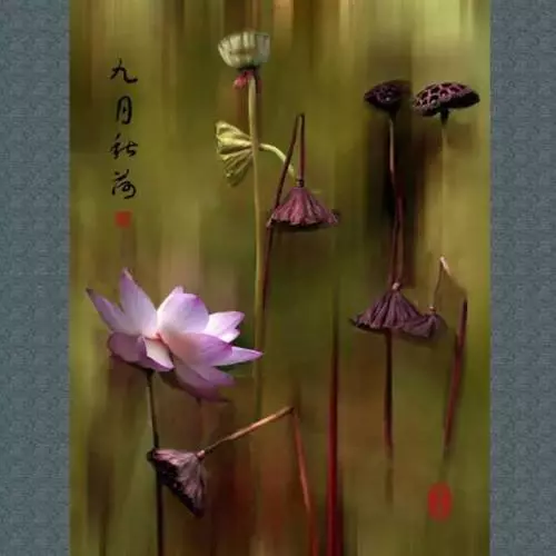 裝傻是一種智慧(很多人卻學不會)