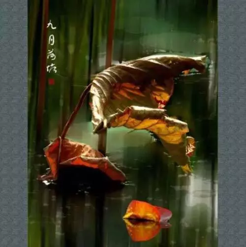 裝傻是一種智慧(很多人卻學不會)