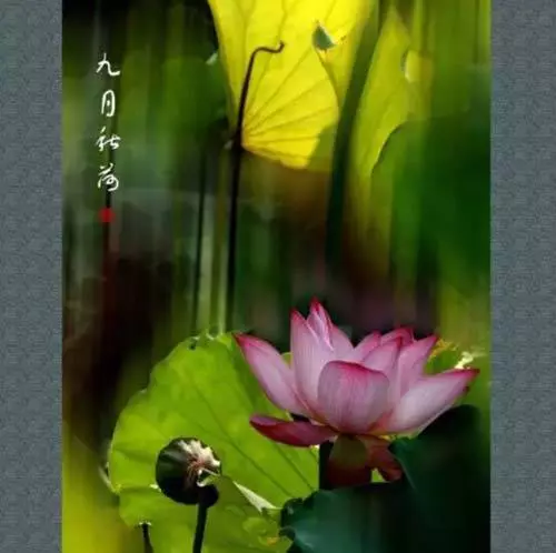 裝傻是一種智慧(很多人卻學不會)