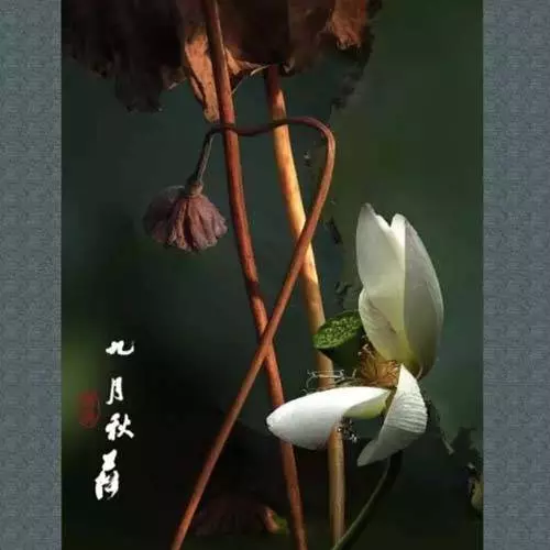 裝傻是一種智慧(很多人卻學不會)