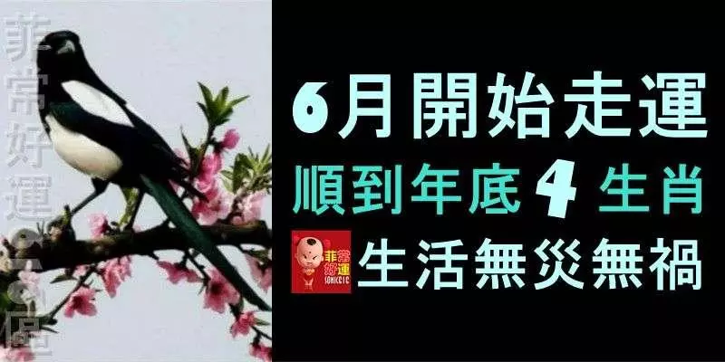 從6月就開始走運,一直順到年底的4個生肖,生活無災、無禍