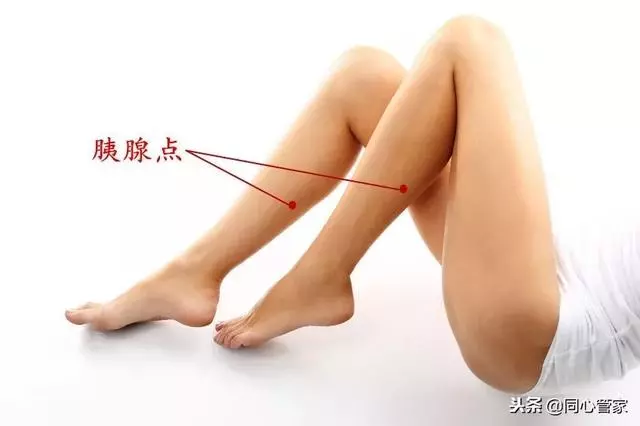 人腿上有一個通血管穴,每天堅持按一按,疏通血脈,心臟添動力!