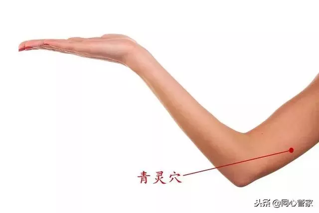 人腿上有一個通血管穴,每天堅持按一按,疏通血脈,心臟添動力!