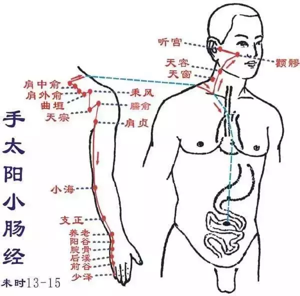 頸椎病、肩周炎、落枕,按按手臂上的這條線,全都幫你解決!