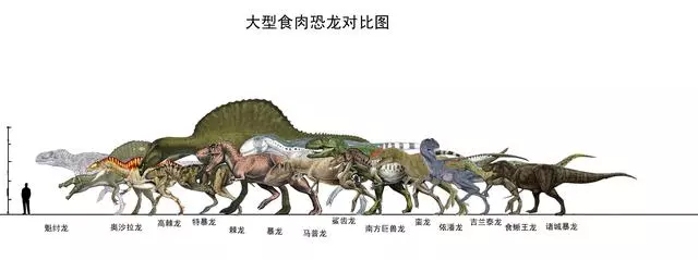 地球生命史,恐龍時代與最久遠的生命時代相差就如此之久!