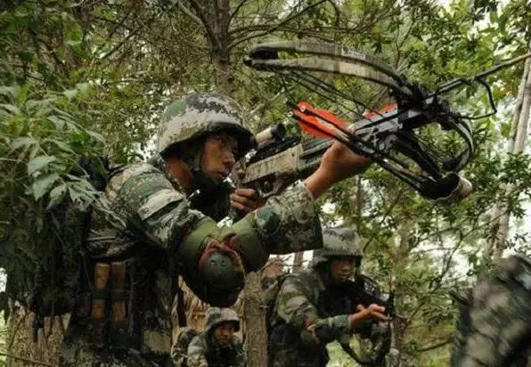 中國特種兵最強冷兵器:十字弓弩「最變態」一箭打碎9噸大象頭骨