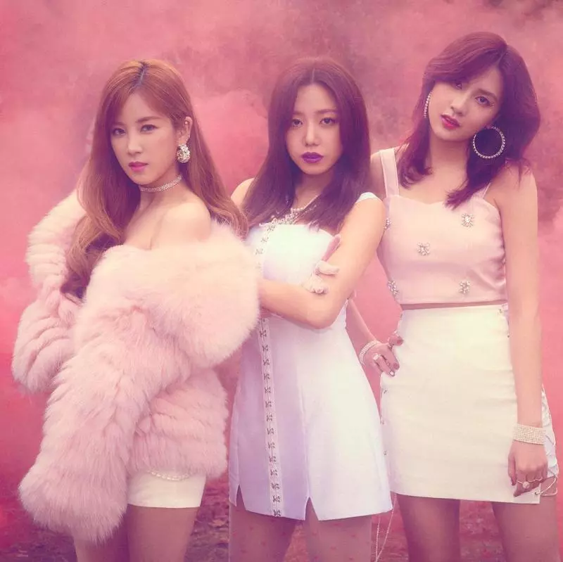 [Apink][分享]181228 Apink之所以了不起的理由~我們阿粉繼續走花路吧！