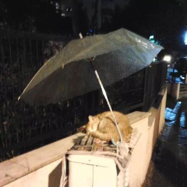 23件世界各地暖心人做的事,紅著眼眶重新相信社會還有愛