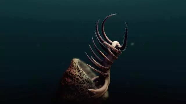 這些動物都曾經統治海洋,你見過嗎?