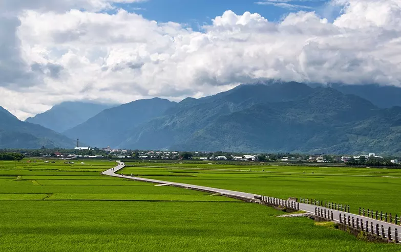 過年要去哪裡玩?本以為「池上花海」已經夠猛,沒想到一看到「這個美景」後…我說不出話了!