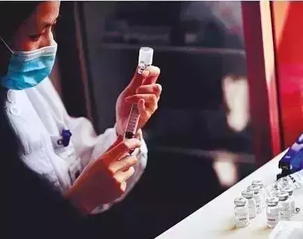 2018年,狗狗都經歷了什麼?
