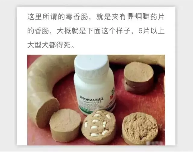 2018年,狗狗都經歷了什麼?