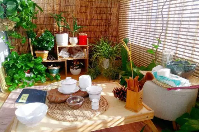 臥室一定要養這「3種」小盆栽,能殺蟎蟲、增氧氣,家人「不失眠」
