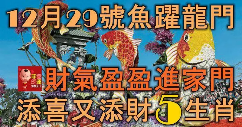 12月29號起魚躍龍門,財氣盈盈進家門,添喜又添財的5大生肖!