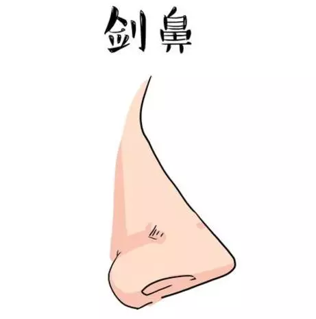 三種鼻子一生【難富貴】,希望你沒有!