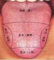 【火】在肺裡=咳嗽,【火】在肝裡=失眠,【火】在胃裡=口臭,教你5招,清肝火更健康!