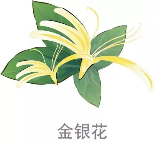 【火】在肺裡=咳嗽,【火】在肝裡=失眠,【火】在胃裡=口臭,教你5招,清肝火更健康!