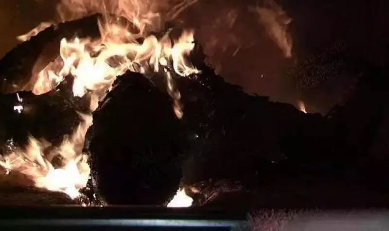 有錢又怎樣?身價35個億的王均瑤火葬場全過程曝光!看完你還敢說你有錢嗎?