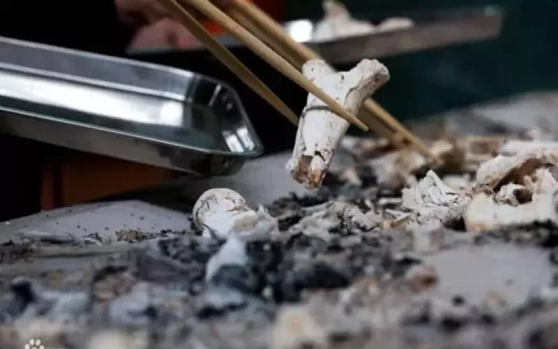 有錢又怎樣?身價35個億的王均瑤火葬場全過程曝光!看完你還敢說你有錢嗎?