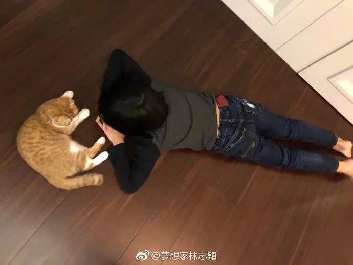 林志穎全家搓湯圓,陳若儀的肚子亮了,網友:像又懷了雙胞胎