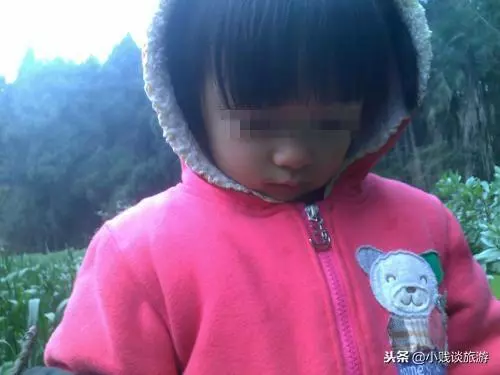 女兒失蹤三年,算命先生卻說還在家中,母親搜查一番後,當場蒙了