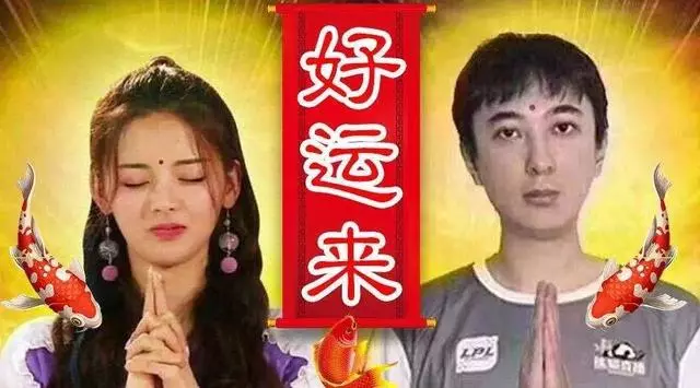 景甜成錦鯉界當紅愛豆,年末求錦鯉可要轉對表情包啊!