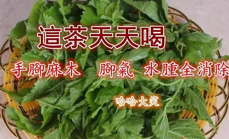 這茶天天喝,輕鬆減掉32,手腳麻木,腳氣、水腫全消除