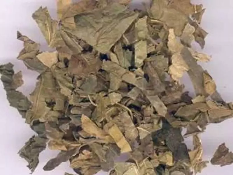 這茶天天喝,輕鬆減掉32,手腳麻木,腳氣、水腫全消除