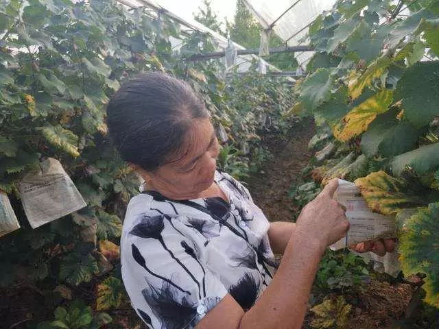 丈夫去世,女子和婆婆一起生活,半夜看到一個身影,她愣在原地