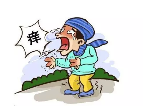 皮膚濕疹總不好?中醫主任:這4個巧方法,相互結合,濕疹全消