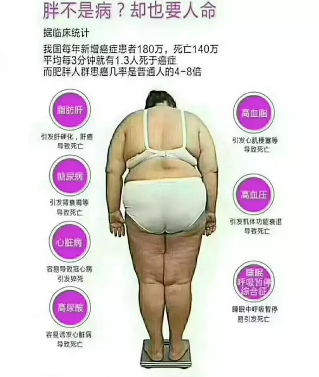 減肥不掉秤的十大原因!(附正確減肥方法)