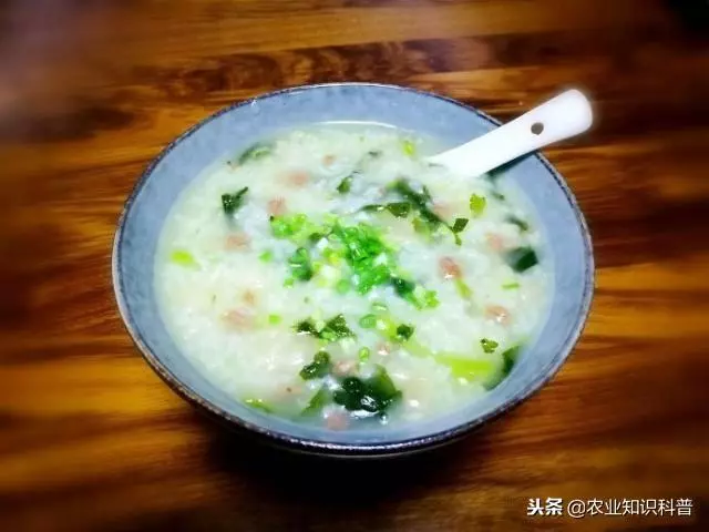 五菜之首的葵菜,口感滑利鮮嫩,治肺熱咳嗽消水腫治便秘