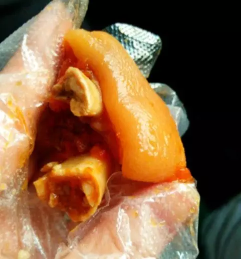 豬蹄這種做法好吃又營養,吃著一點都不膩,我也是第一次做著吃!