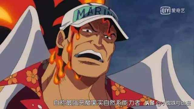 海賊王:如今的赤犬是不是具備了卡普當年的實力?尾田:繼續吹!