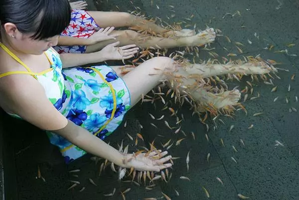女子做魚療滑進水中,起來後下面巨疼,去醫院檢查,醫生:鑽進去!