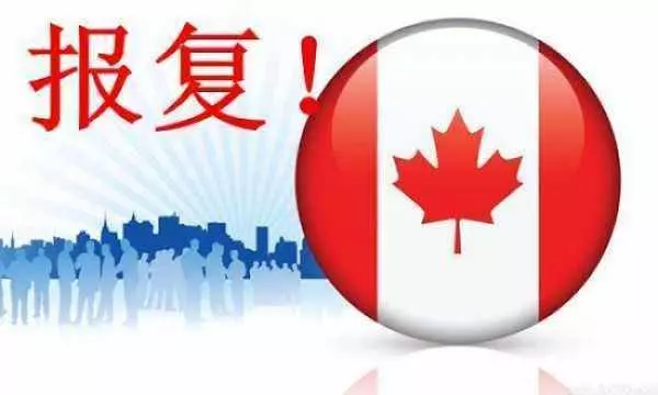 就在剛剛!加拿大倒戈怒指特朗普,孟晚舟釋放回國成定局!