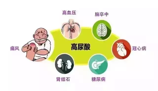 高尿酸和痛風的注意:哪些能吃,哪些不能吃,一張表格都告訴你!