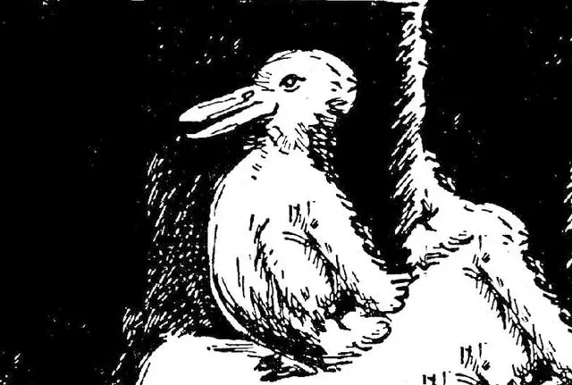 黑白圖裡藏了一隻動物,如果你看到它,將揭示你的外向性