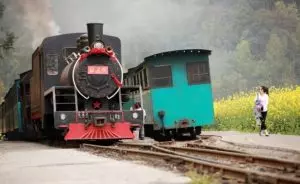 這列火車全長7353米,別說數了,看都看不到頭,號稱世界最長火車