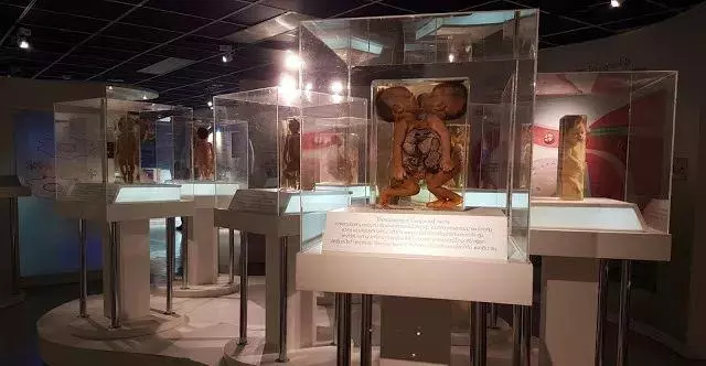 曼谷鮮為人知5景點!別只是去大皇宮和水上市場了哈~