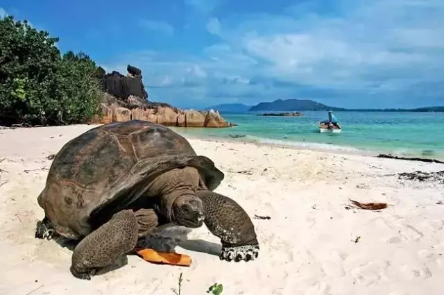 世界最美十大海島,每一個都美到窒息!