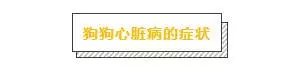 大部分確診心臟病的狗狗,都是因為主人們誤以為它們感冒了