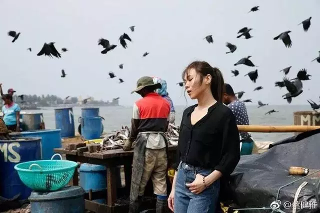 有意思|蔡依林王心凌,你們的新專怪美的(早點回歸多好!)