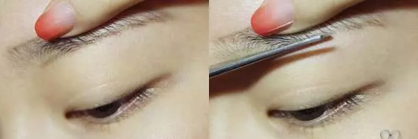 不要再去花錢請人修眉,也不要再自己亂修;這樣修眉毛才是對的!