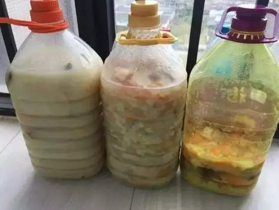 這種「黑果」路邊有很多,其實是「解毒之王」,家中養一盆,讓你少生病少吃藥