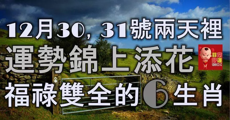 12月30號,31號兩天裡,運勢錦上添花,福祿雙全的6大生肖!
