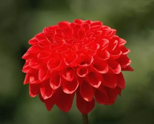 12月30號,31號兩天裡,運勢錦上添花,福祿雙全的6大生肖!