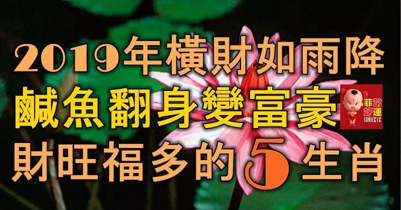 2019年橫財如雨降,鹹魚翻身變富豪,財運旺福氣多的5大生肖!