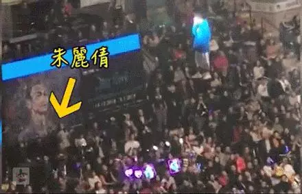 劉德華中途取消演唱會流淚鞠躬致歉,老婆隨後的一個動作太暖心!網友表示心疼:華仔哭的好慘