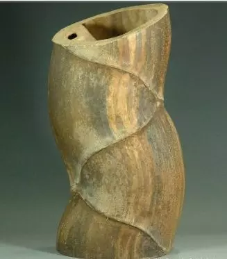 大媽上山砍竹子曬衣服,發現竹子「十分奇特」,帶回家兒子跳起來大喊:我們家要發財了
